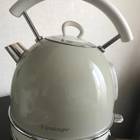 Domus Palatina 로마